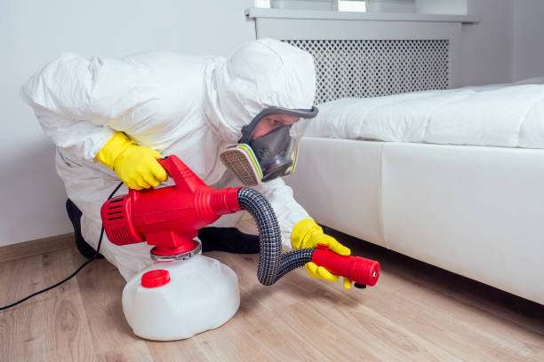 Best Fumigation Services  in Orange Park, FL